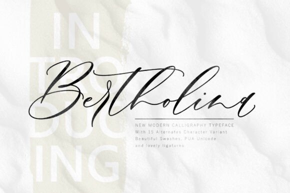 Bertholina: A Modern Calligraphy Typeface Review