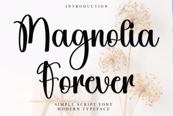 Magnolia Forever: A Web Designer’s Review of This Script Typeface