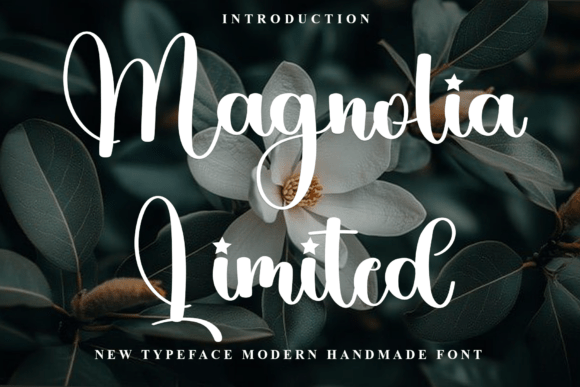 Magnolia Limited: A Festive Display Font for Web Design