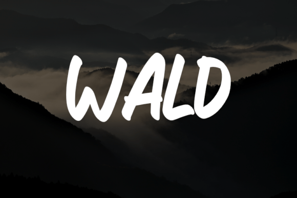 Wald: A Modern Typeface for Editorial Design